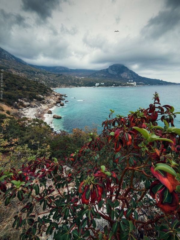 ������� ��������� �� ��������� ���������� ����� � �����������