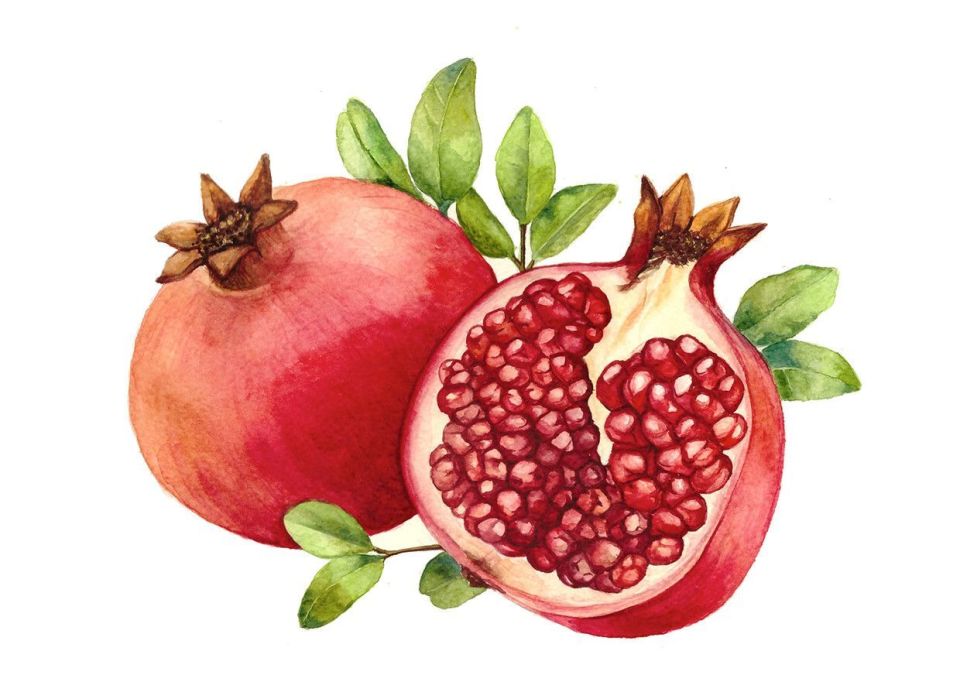 О пользе граната. В переводе с латинского granatus означает «зернистый», а в Древнем Риме гранат так и называли — зернистое яблоко