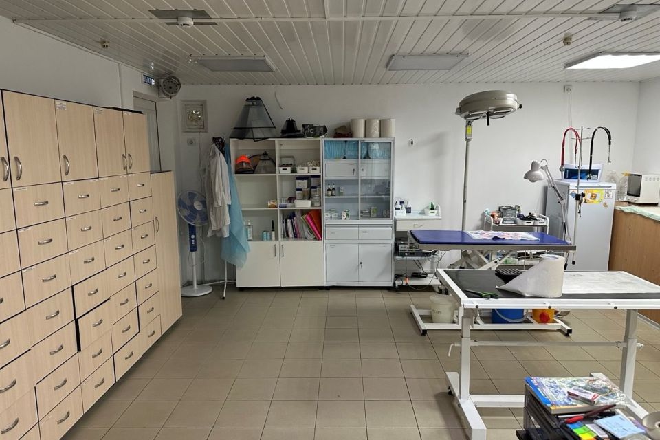 По требованию прокуратуры Гагаринского района г. Севастополя устранены нарушения в деятельности ветеринарных клиник