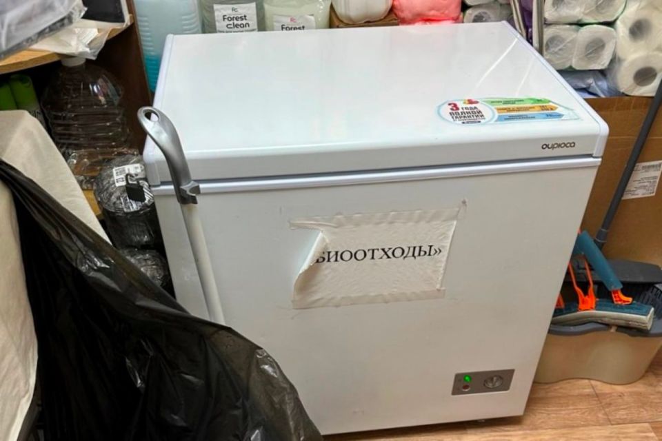 �� ���������� ����������� ������������ ������ �. ����������� ��������� ��������� � ������������ ������������ ������