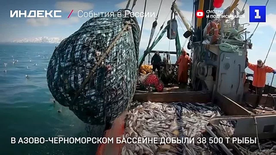 � �����-������������ �������� �������� 38,5 ����� ���� ������ ��������