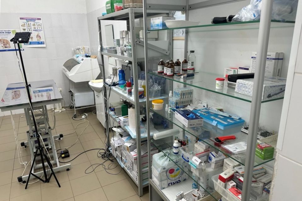 �� ���������� ����������� ������������ ������ �. ����������� ��������� ��������� � ������������ ������������ ������