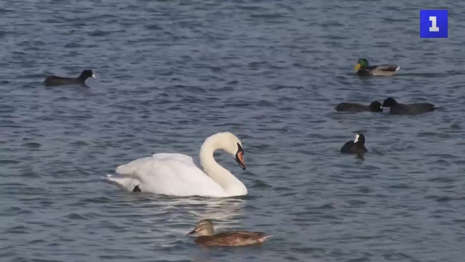 � ��������� ����� ����� �� ������� ��������� ���� �������