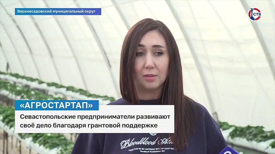 Севастопольские предприниматели развивают своё дело благодаря грантовой поддержке