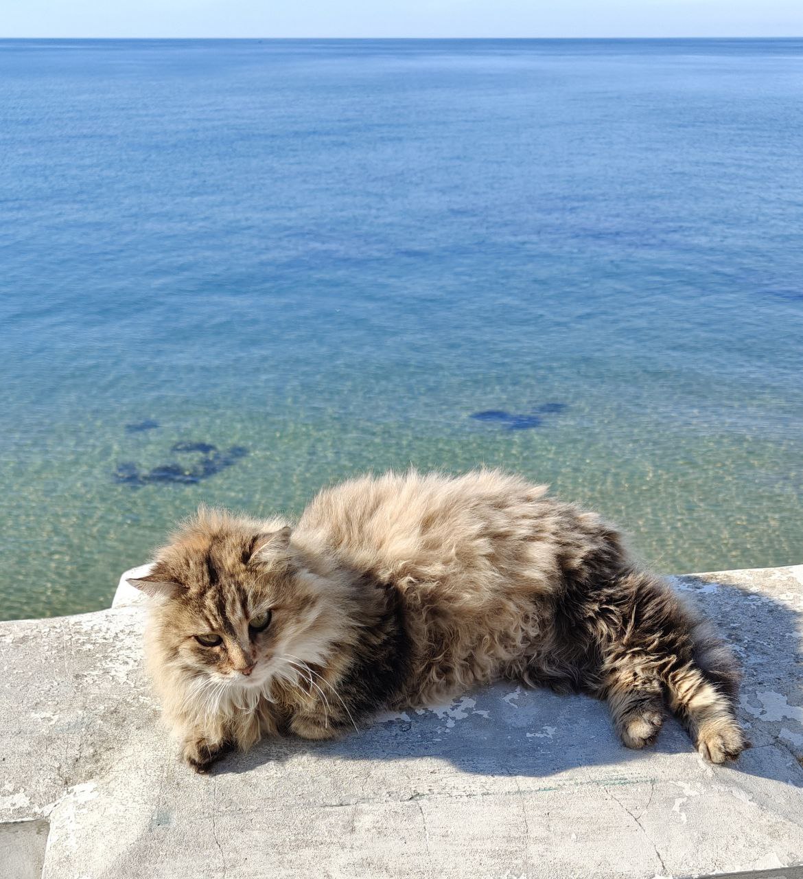 Доброго субботнего утречка, дорогие наши читатели!