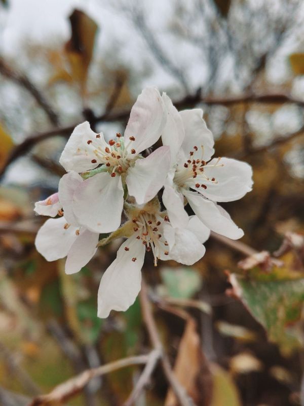 ���� ���� �� ������� ������� ������������� ������