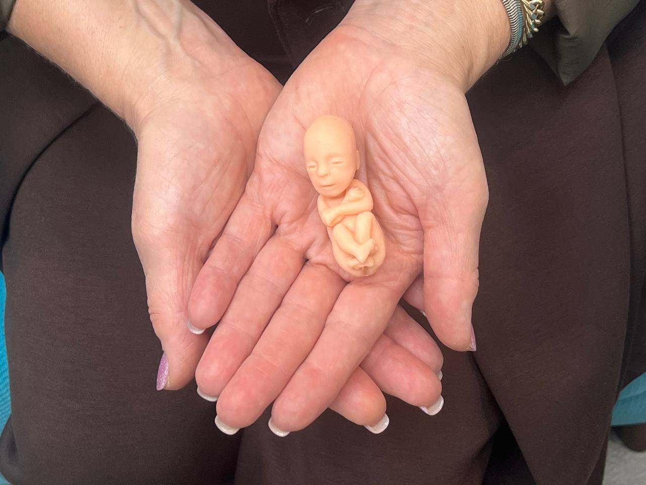 АНО «Спаси жизнь» проводит установочное мероприятие перед стартом просветительского цикла АНО «Спаси жизнь» проводит установочное мероприятие перед стартом просветительского цикла