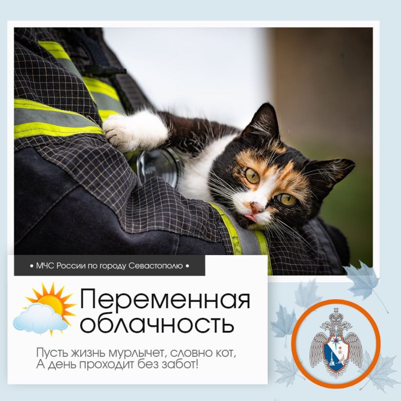 Доброе утро, Севастополь!. По данным гидрометцентра, 23 ноября в Севастополе будет переменная облачность