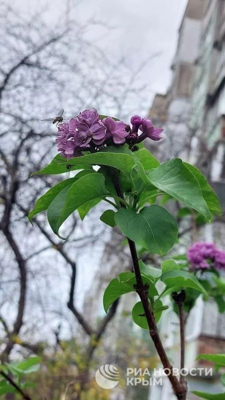 ������� ������ � ����� �� �����������