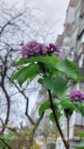 Прогноз погоды в Крыму на воскресенье