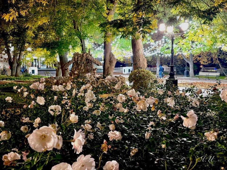 �������: �������� �����������, 23 ������ 2025 �