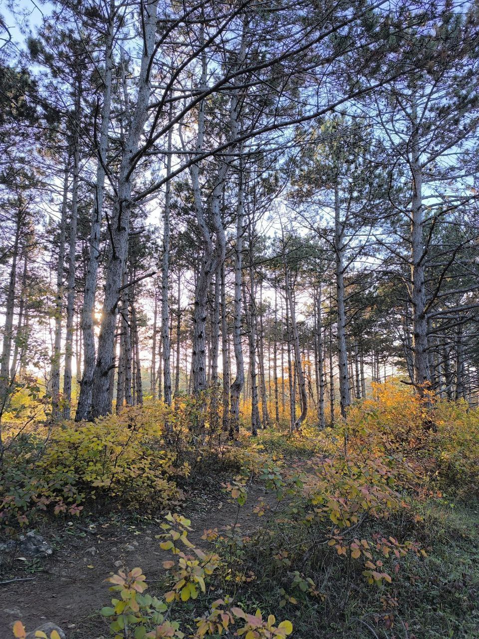 С добрым утром, друзья!. В воскресенье в Севастополе Без осадков С добрым утром, друзья!. В воскресенье в Севастополе Без осадков