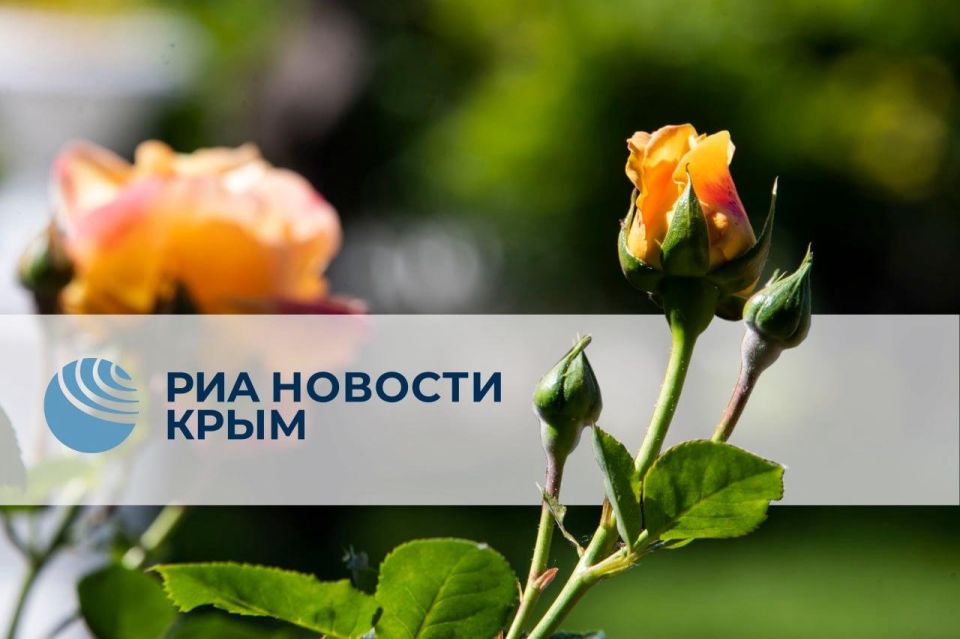 0 ���� � ��� ������� ����