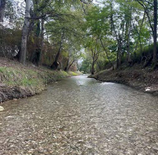 ����������� ���������� ����� ���� ������� � ������ �������������� �� ������� ����� � ��� ���������