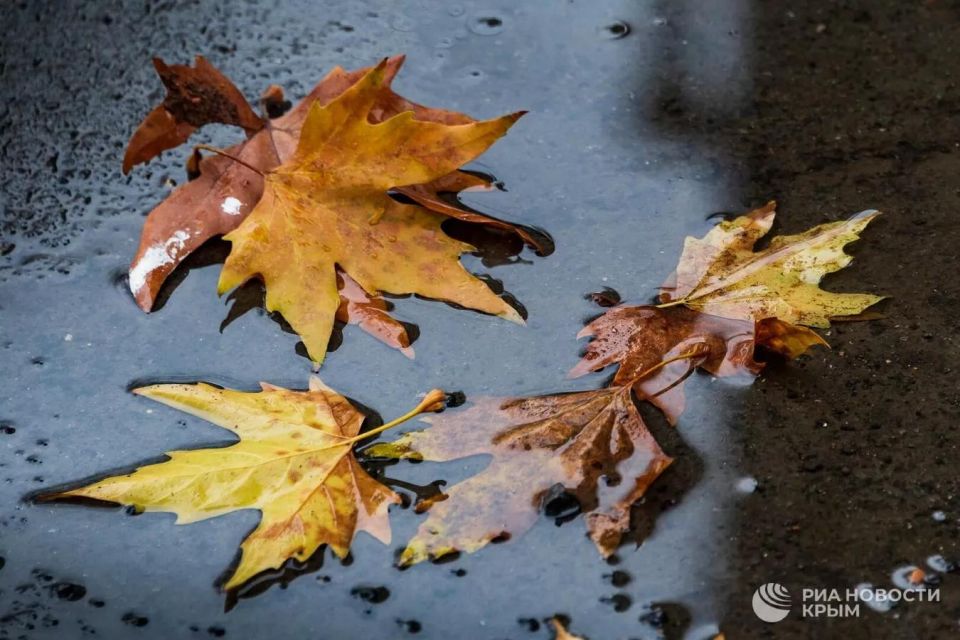 ������� ������ � ����� �� �����������