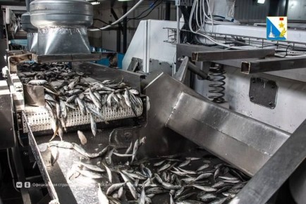 Севастопольские рыбные предприятия могут получить субсидию