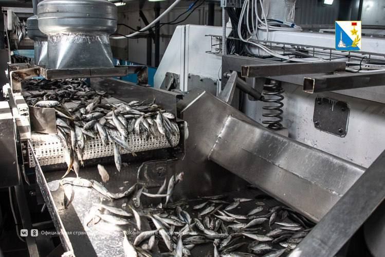 Стартовал прием документов на субсидирование предприятий рыбной отрасли