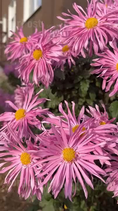 ������ � ����������� ������� ������������� ������, �� ��� ����� ������, �� ��������� ����������, �������� � ����� ������� �����