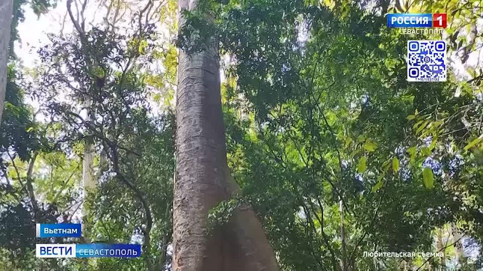 �������� �� ���������� ������ ����� �������� � ����� � 9:30 ��� ����� ������ �� ���� ������!