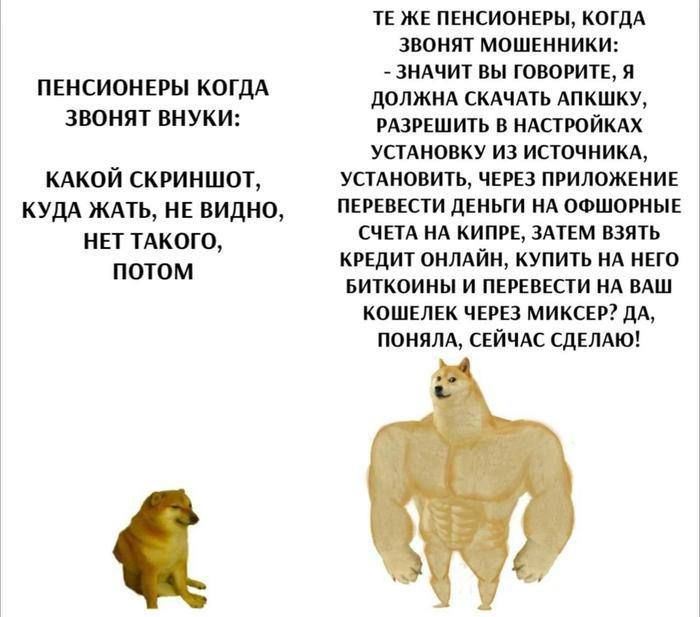 Полиция Севастополя предупреждает: мошенники обокрали горожан на 3,5 миллиона рублей за выходные