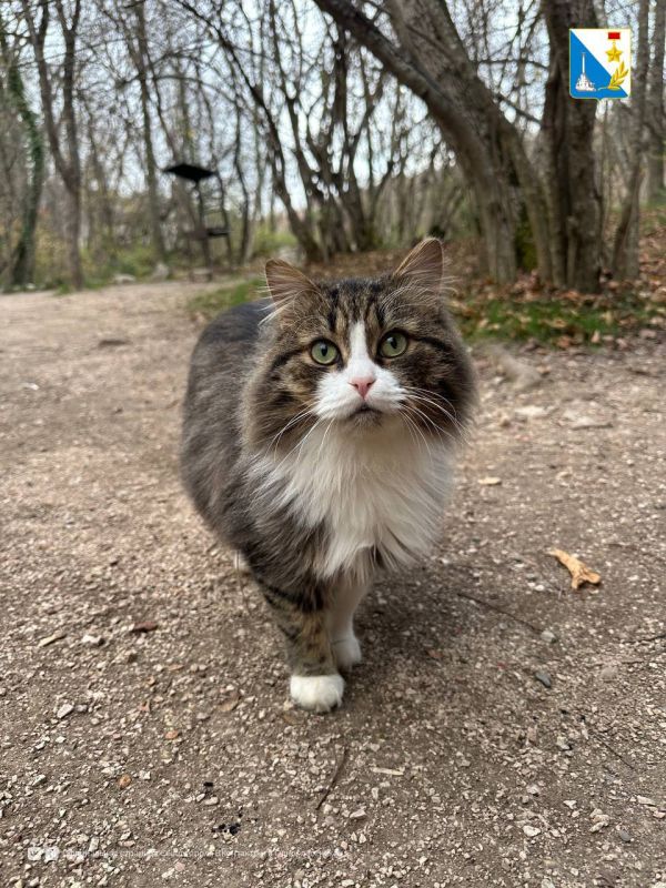 �� �������� ������������ ����������� ������� 133 �������