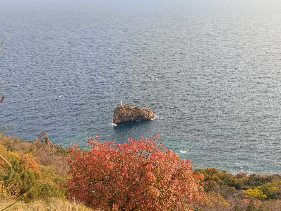 ������� ������������, ������!