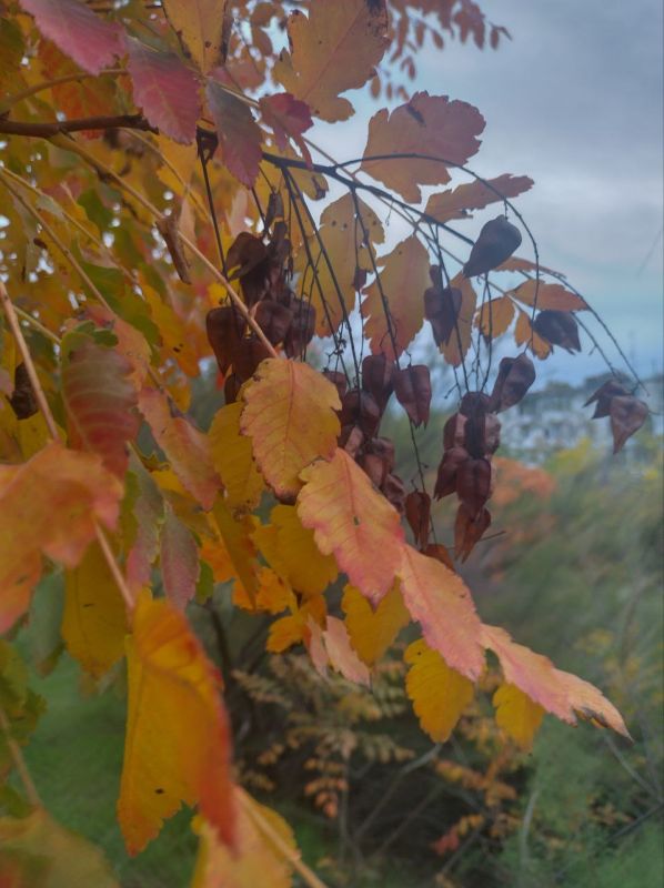 ������ � ����� � ����������� ���� �������