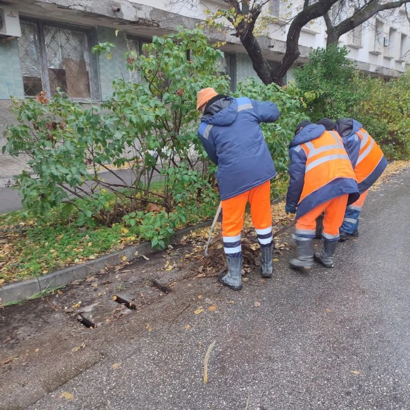 ���������: ������� �������. ������� ������ �������� ����������� ��������� ������ ������ � ������� ������� ��������������� �� ������