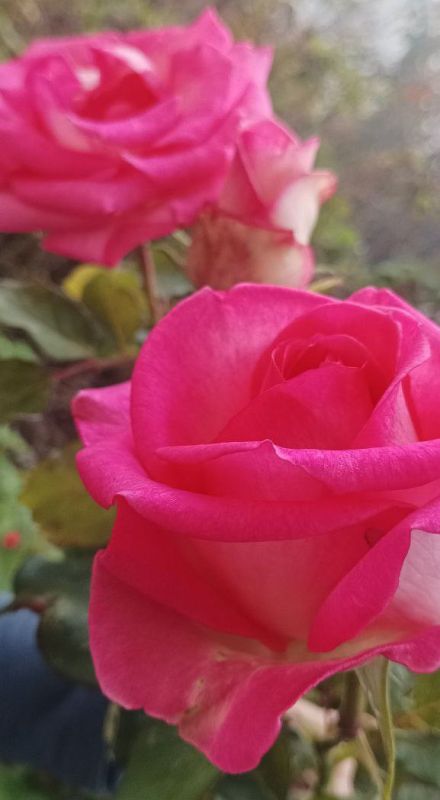 Всем добра и отличного настроения! Всем добра и отличного настроения!