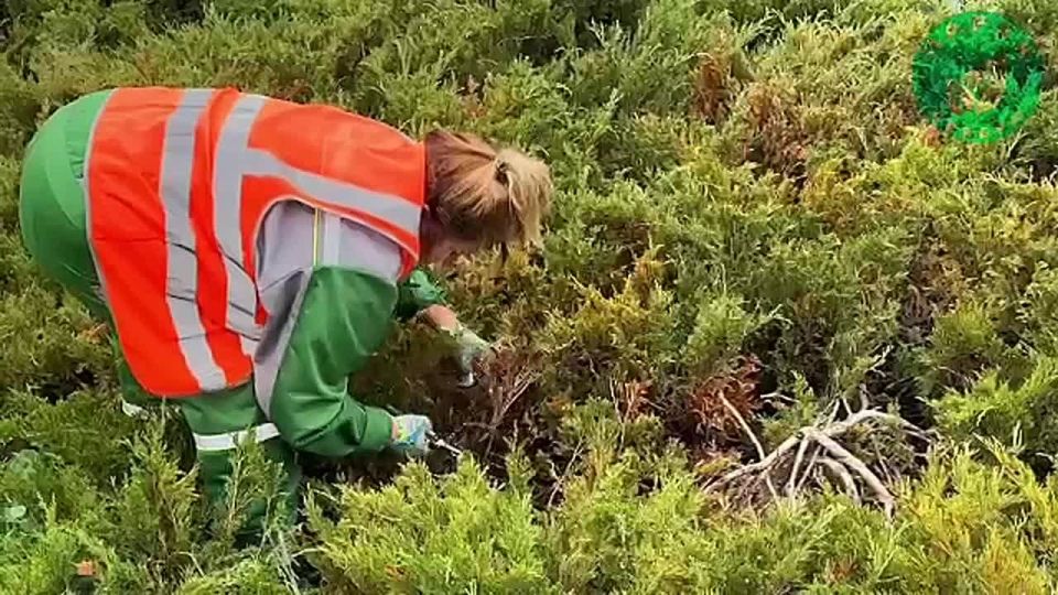 ����������� ������� ������ �� ����� �� ���������� � ����� ��. ���� ��������