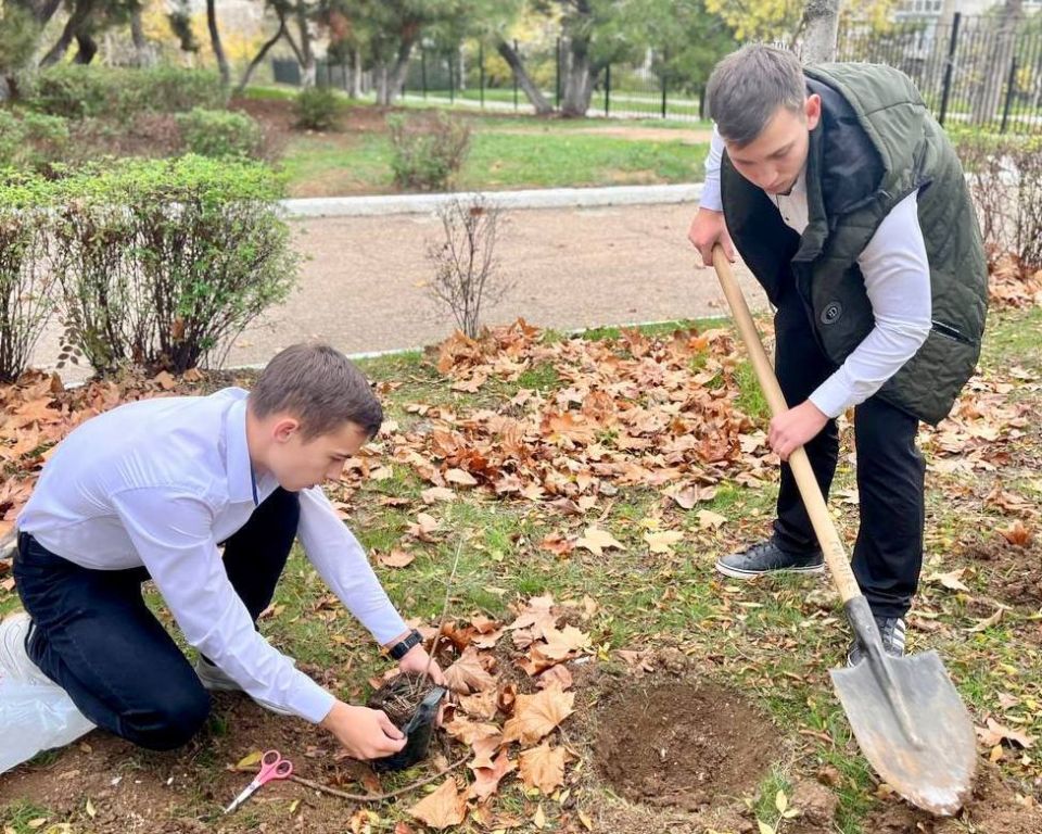 ������ ������� ������ ��������