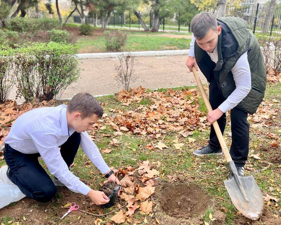 Зелёный подарок родной гимназии Зелёный подарок родной гимназии