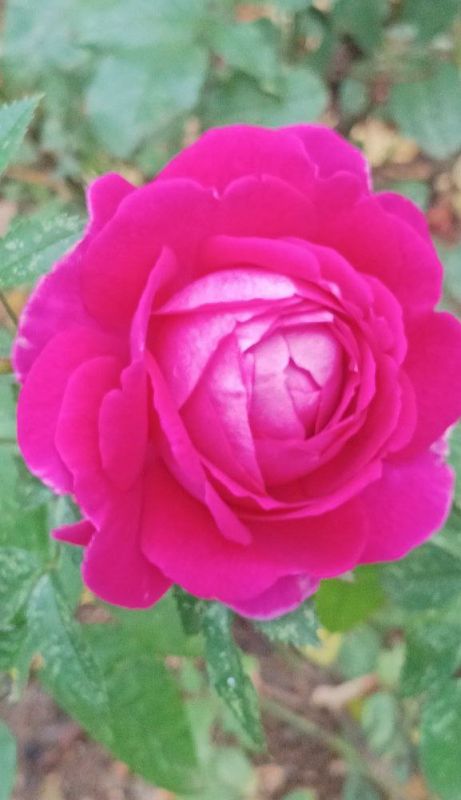 Всем добра и отличного настроения! Всем добра и отличного настроения!