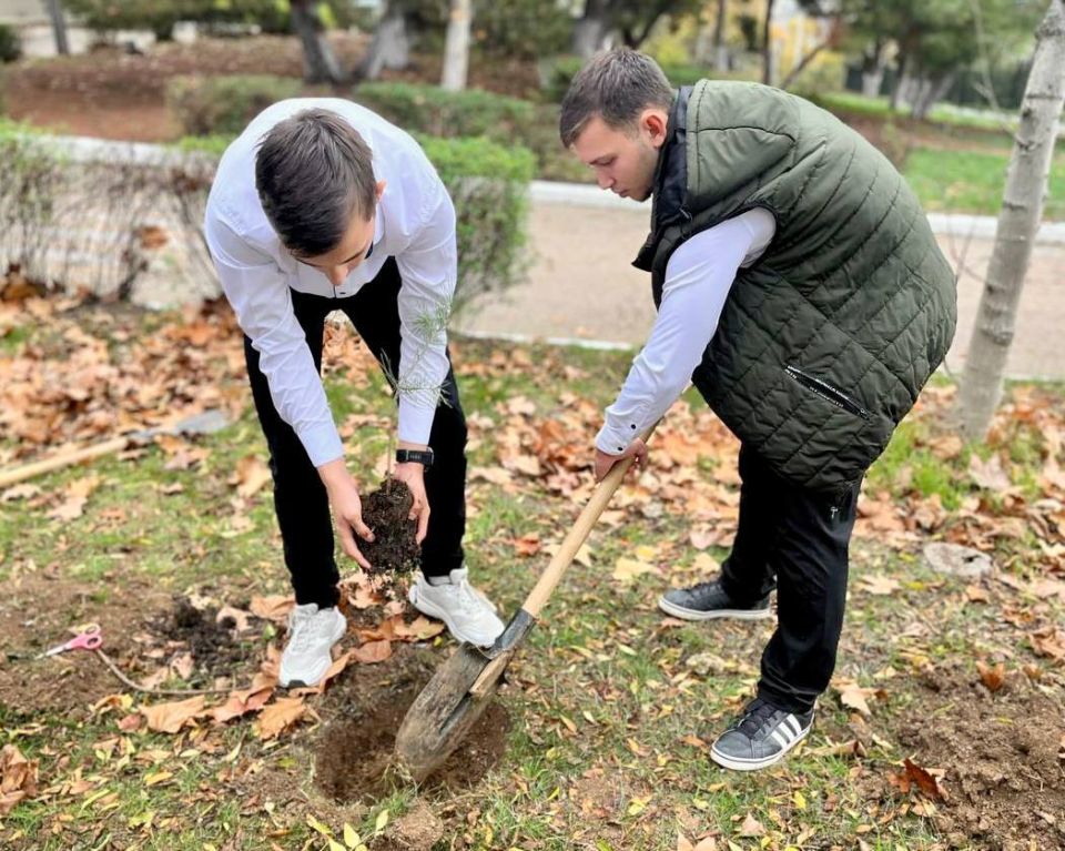 ������ ������� ������ ��������