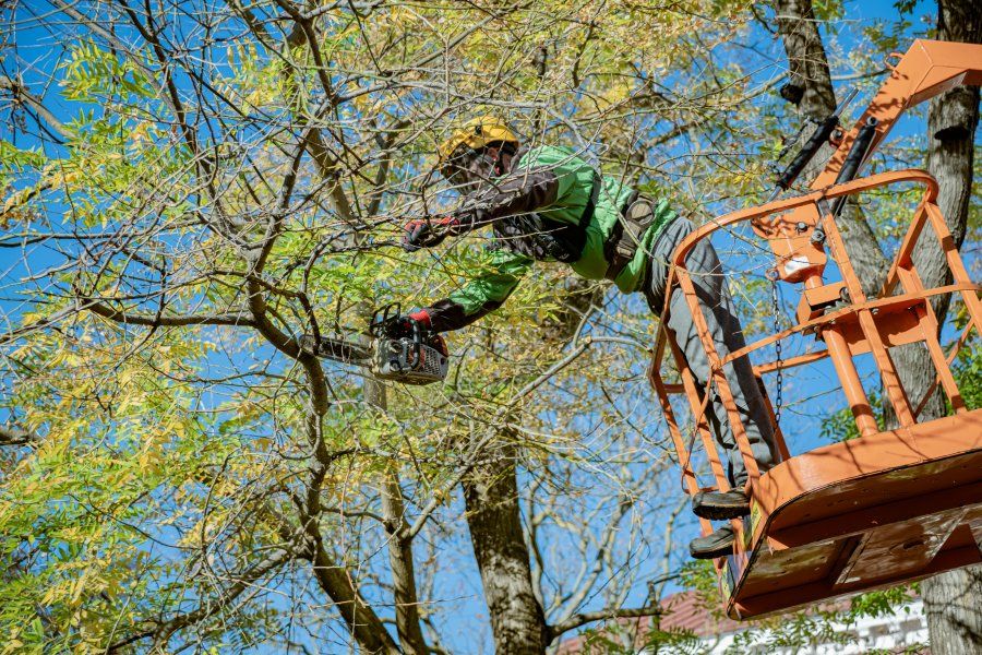 � ��������������� ������ � ������� ����������� ������� ����� 600 ��������� �������� � ����� �����