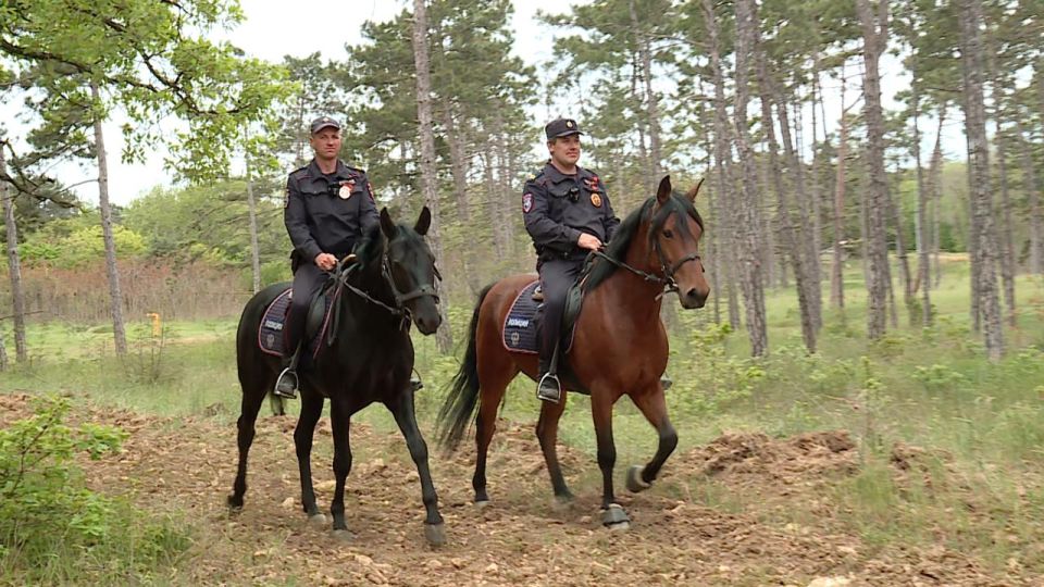 ������� �������������� ������������� ������� �������������