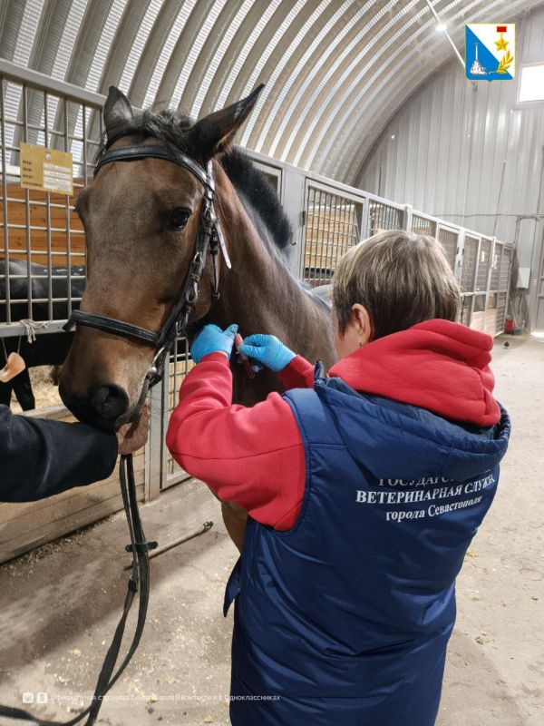 ��������������� ���������� ��������� � ������� 20 ������� �������������� �������������