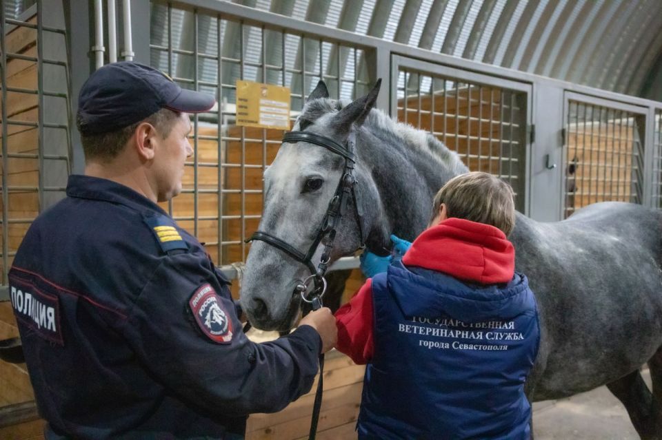 � ������ ������ ��������� � ��������� ���� ������ �� �.����������� ������ �������� ������������ ����������� ��� ��������� �������