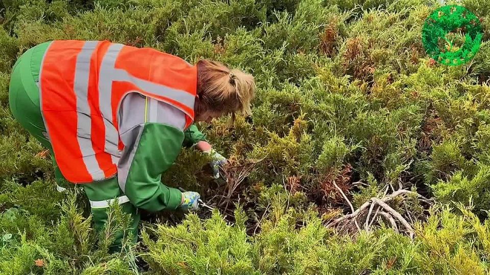 ������ � ������� ��������� � ������ ����� �����������