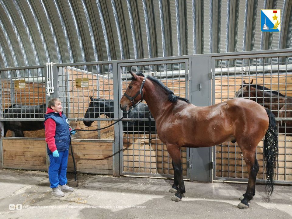 ��������������� ���������� ��������� � ������� 20 ������� �������������� �������������