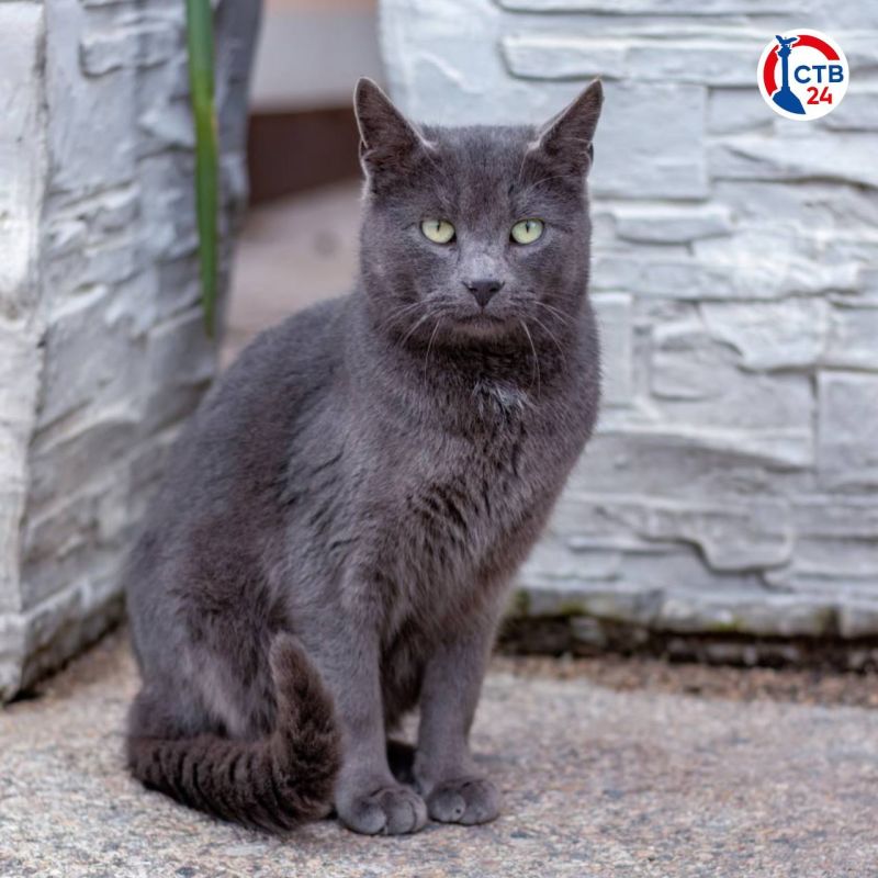 ����� ����� ����� ���������� �������� �������� � �������