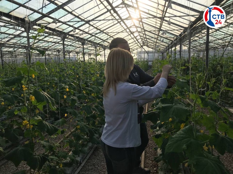 ������� ����������� ��������������� ����� �17 �������� �� ����������� ������������