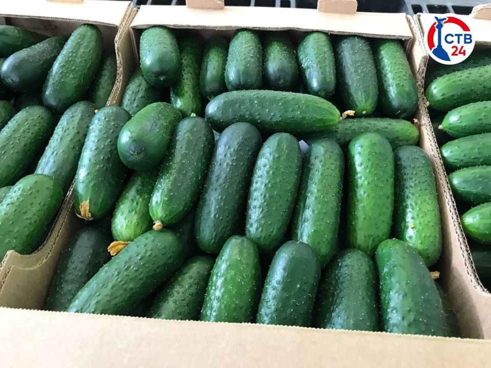 ������� ����������� ��������������� ����� �17 �������� �� ����������� ������������