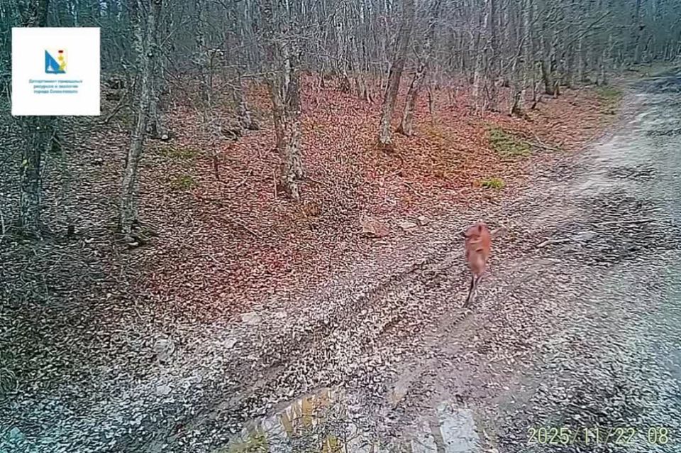 Природа знает секрет счастья