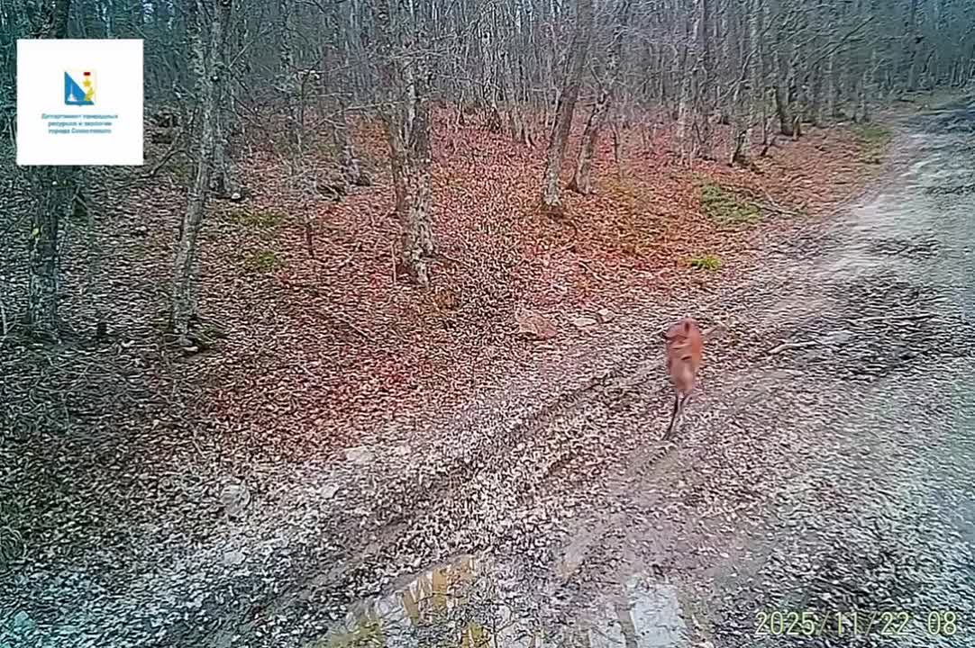 Природа знает секрет счастья