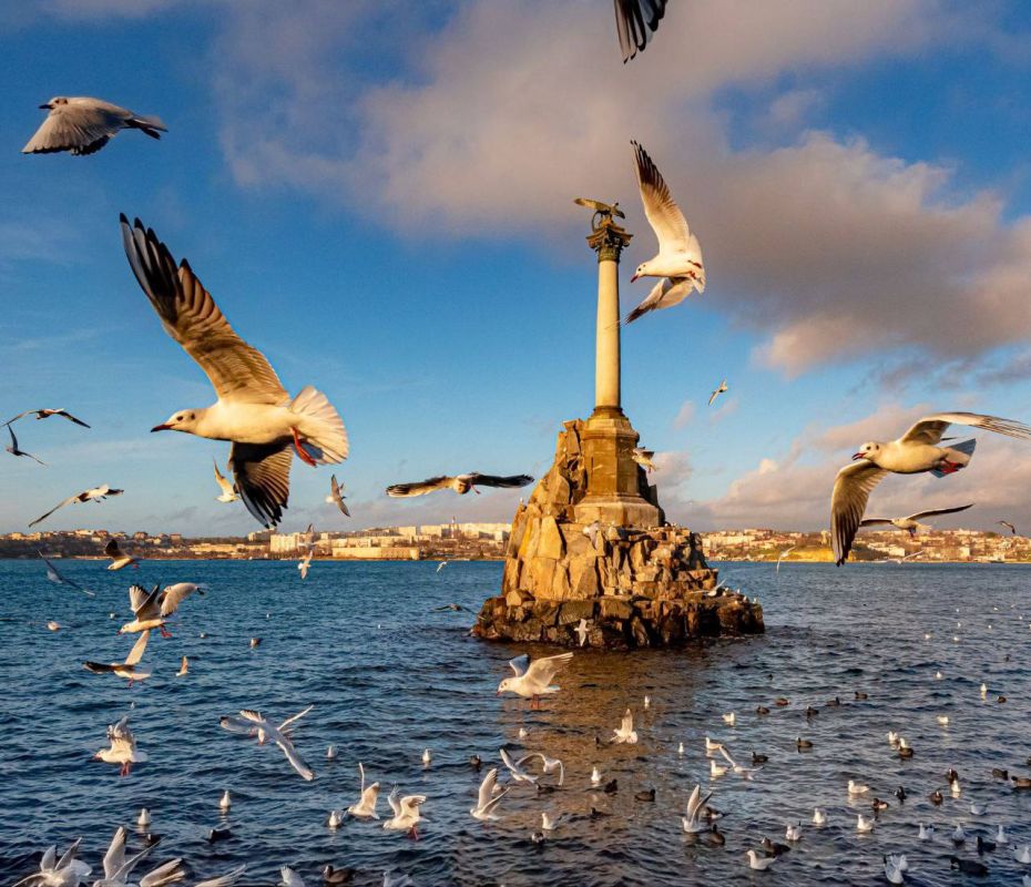 Мария Литовко: Уважаемы представители туристической отрасли Севастополя!