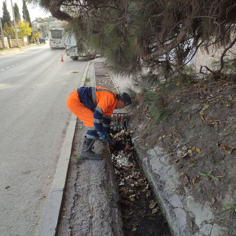 ���������: ������ �������� ����������� �� ������ ������ ����, �� � ��������� �� ��� �����������