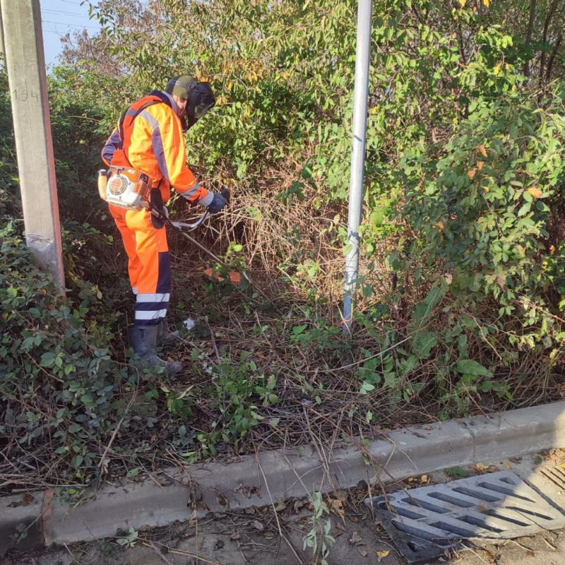 ���������: ������ �������� ����������� �� ������ ������ ����, �� � ��������� �� ��� �����������