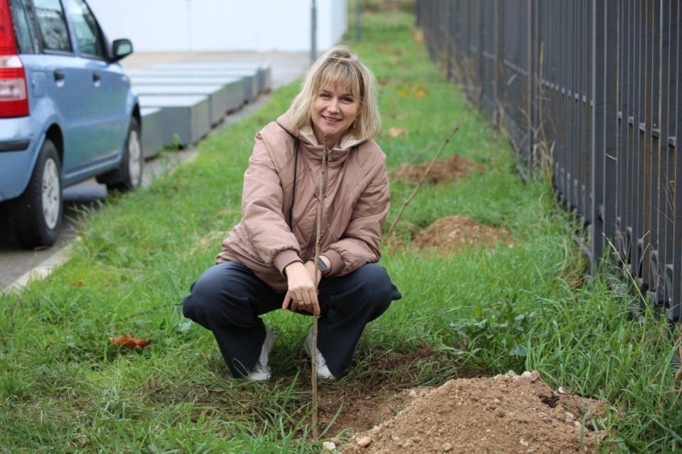 � ������ �������������� ��������� ������������ �������� ����� ��������