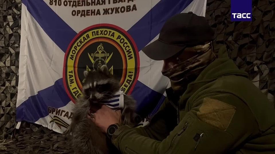 ����� 810 ��������� ������� ������� ������ �������� �����